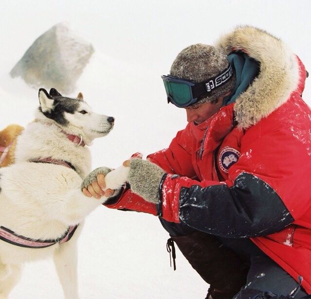 kutup macerası film afişi